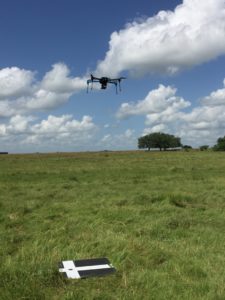 Drone flying over a pasture