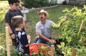 County agent teaching children about gardening