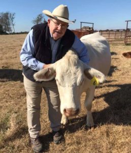 Dr. Paschal with cow