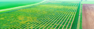 Crop image taken from unmanned aerial system