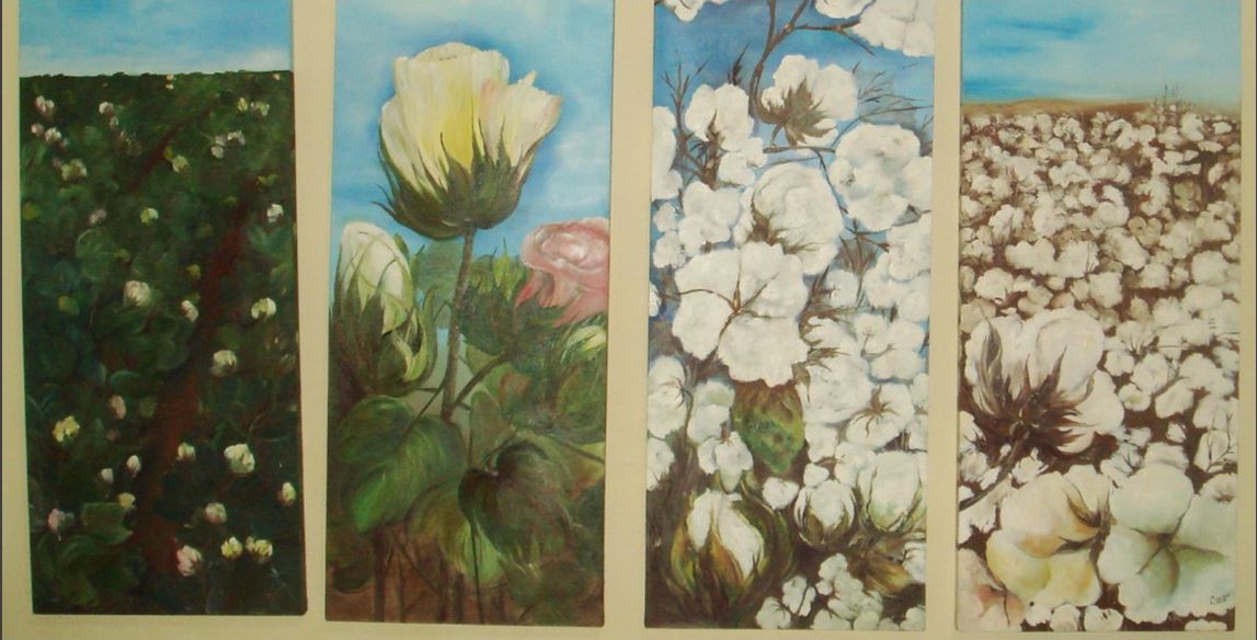 Paintings of cotton plants