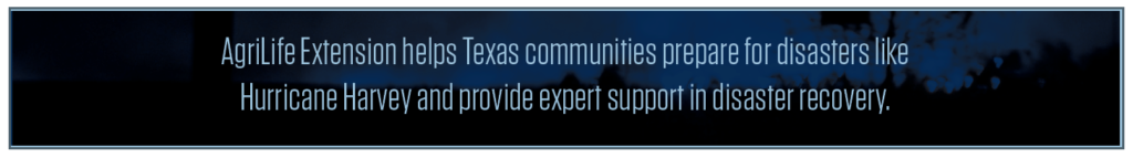 Text in a box that reads, "AgriLife Extension helps Texas communities prepare for disasters like Hurricane Harvey and provide expert support in disaster recovery.