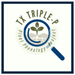 Texas Triple P Logo