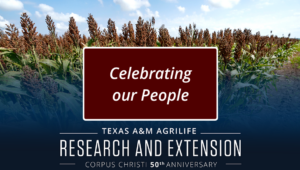 Celebrating our people cover image