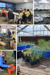 Plan-It Marsh and Plan-It Dunes Project Photo Collage of a classroom workshop, the degraded areas in Flour Bluff, Texas, volunteers and students propagating marsh and dune plants.